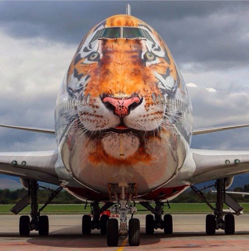 Боинг 747 Тигролет