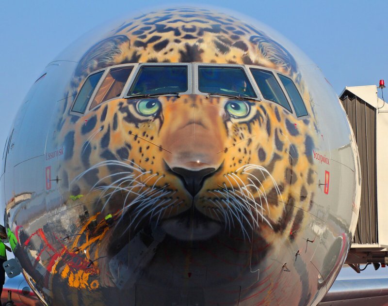 Боинг 747 леопард