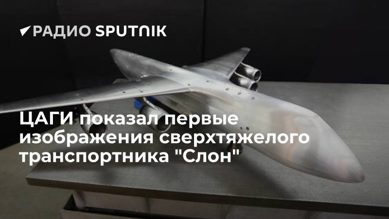 Самолет слон ЦАГИ