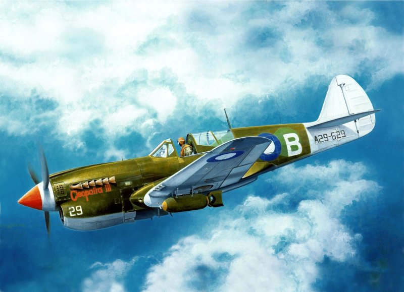 P-40 "Warhawk / Kittyhawk", истребитель фирмы Curtiss