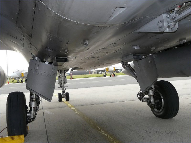 Dassault Rafale ниши шасси
