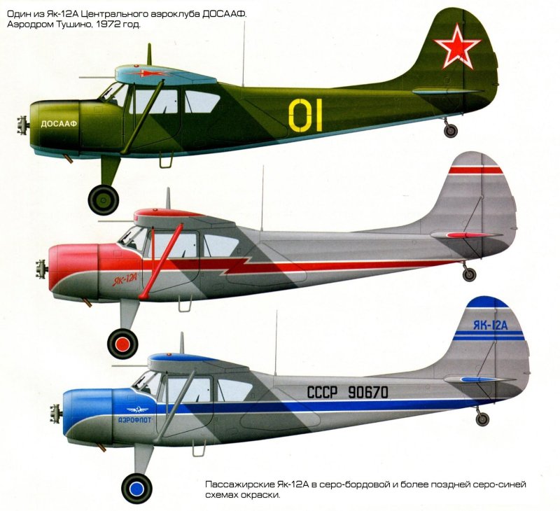 Як 12 окрас