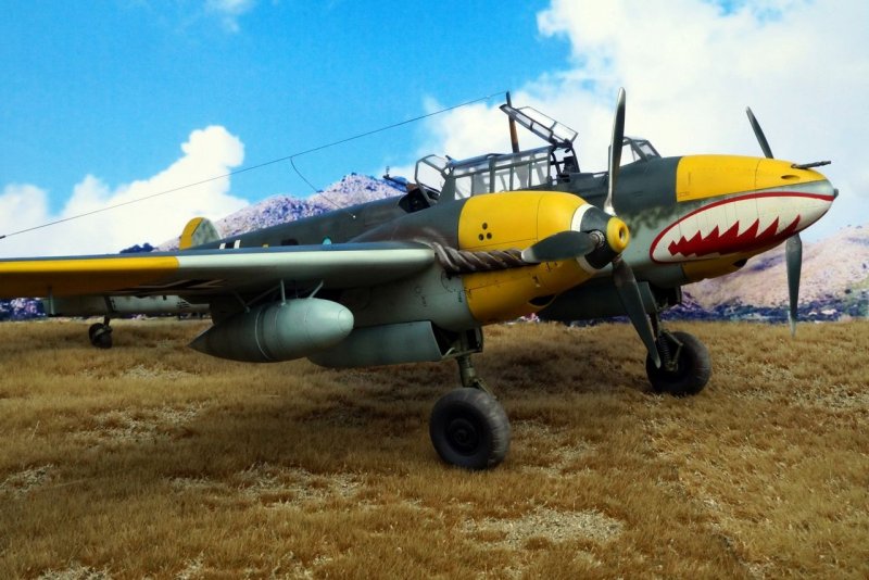 БФ 110 самолёт