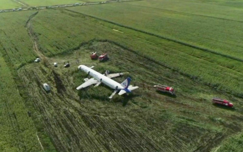 Самолет а321 в кукурузном поле