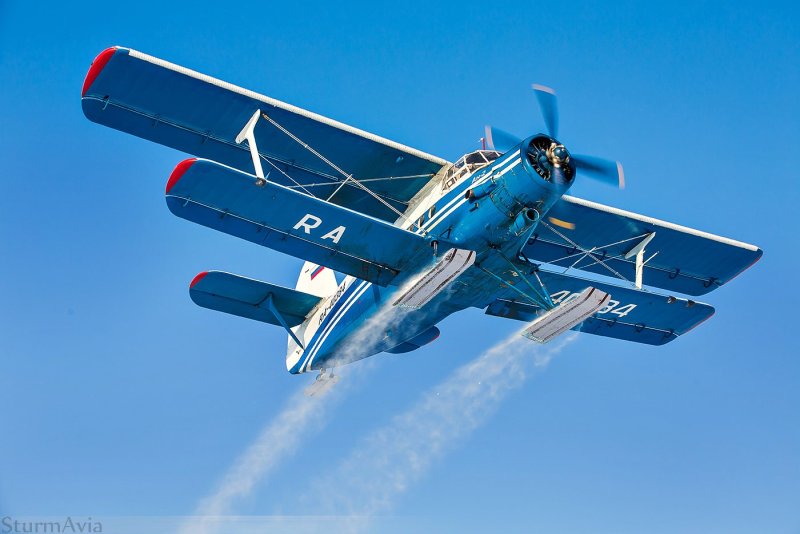 АН 2