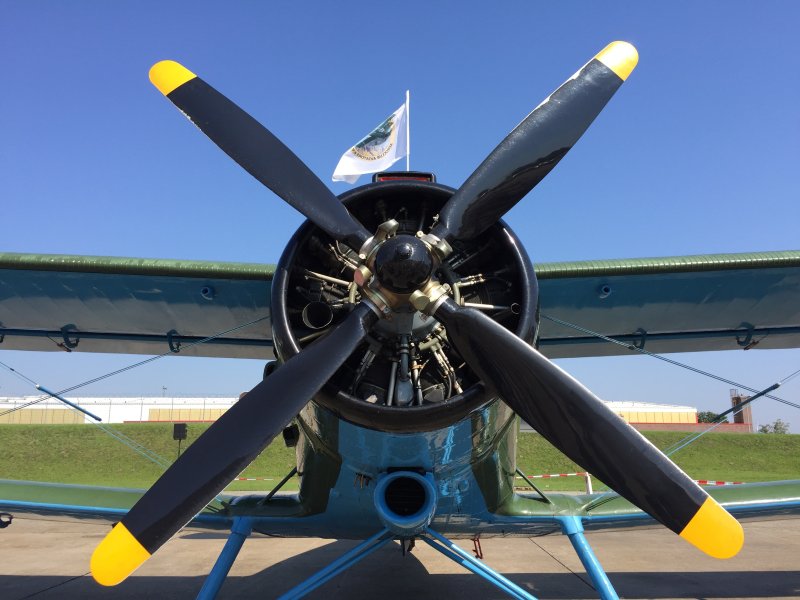 Винт двухлопастной АН 2