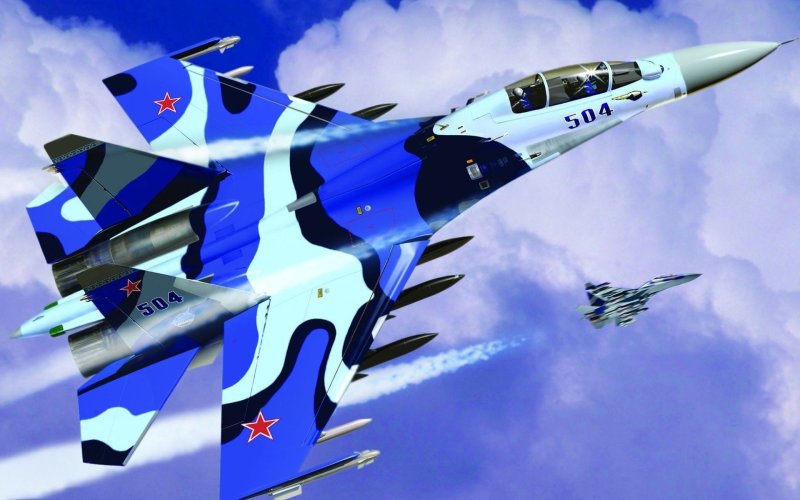 Су-30 арт