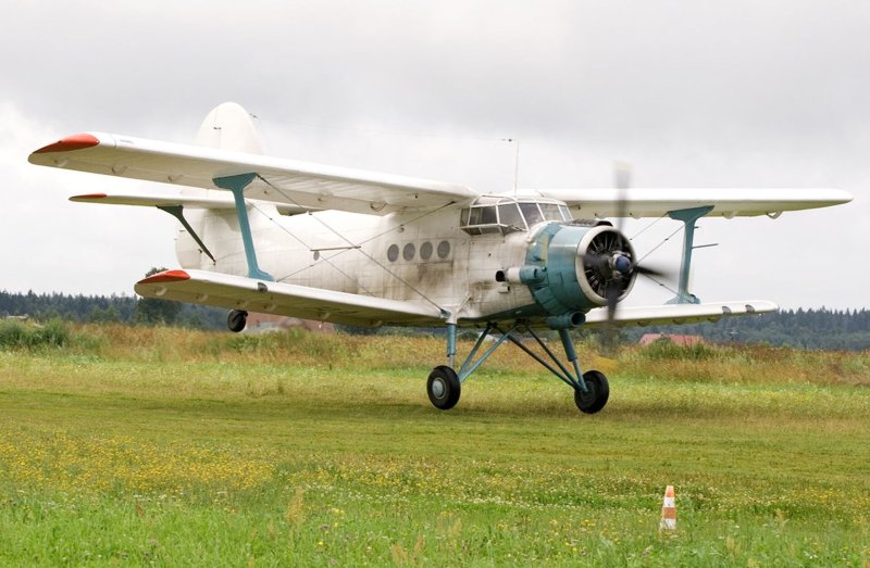 Кукурузник АН-24