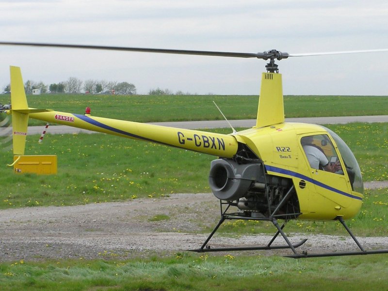 Robinson 22