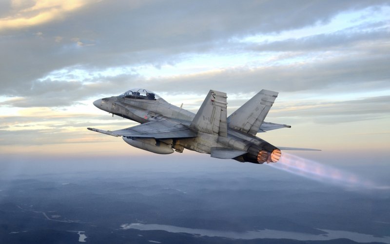 Самолёт MCDONNELL Douglas f/a-18 Hornet