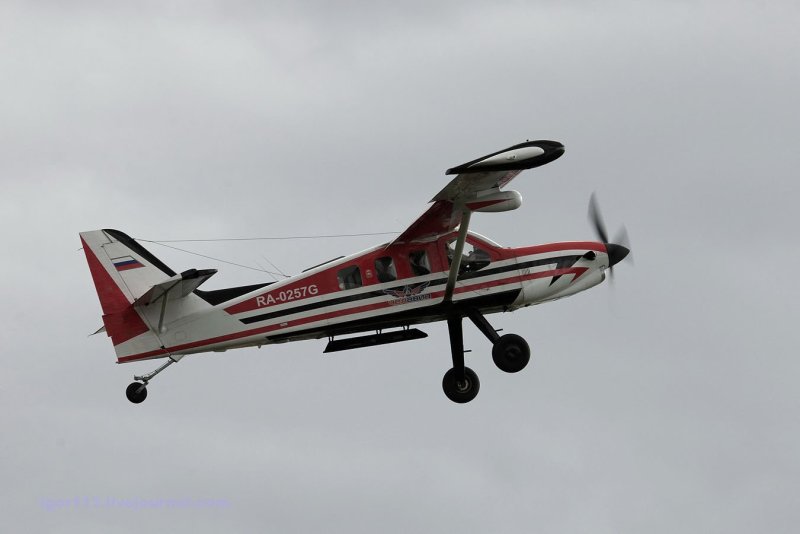 Walter m601
