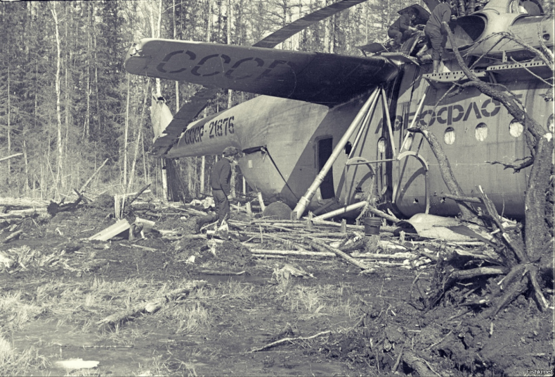 Ми6 21876