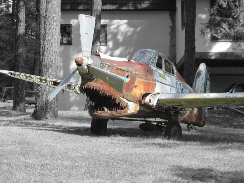Самолет Shark