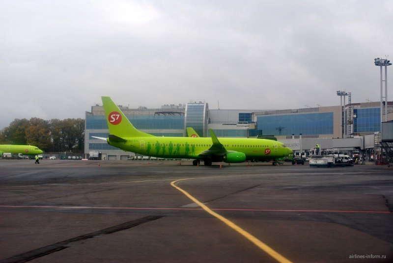 S7 Airlines авиакомпания Домодедово