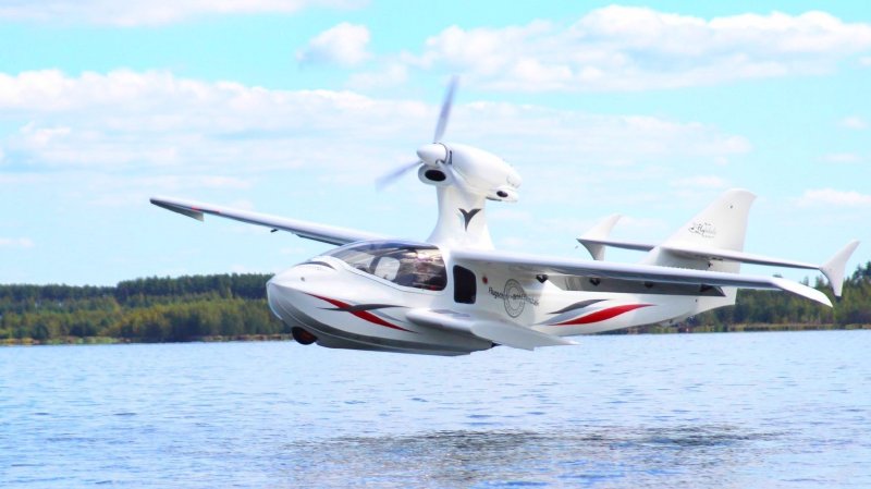 Flywhale aircraft Flywhale