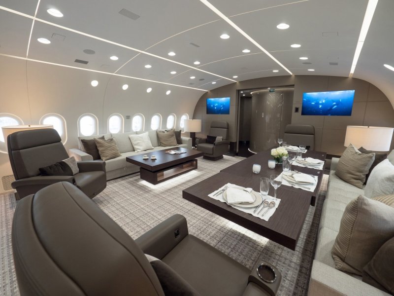 Boeing 787-8 Dreamliner салон