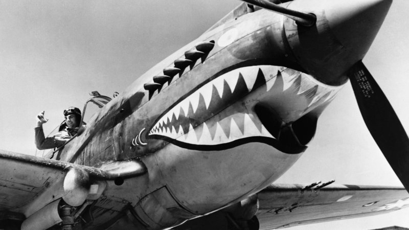 P-40 Shark
