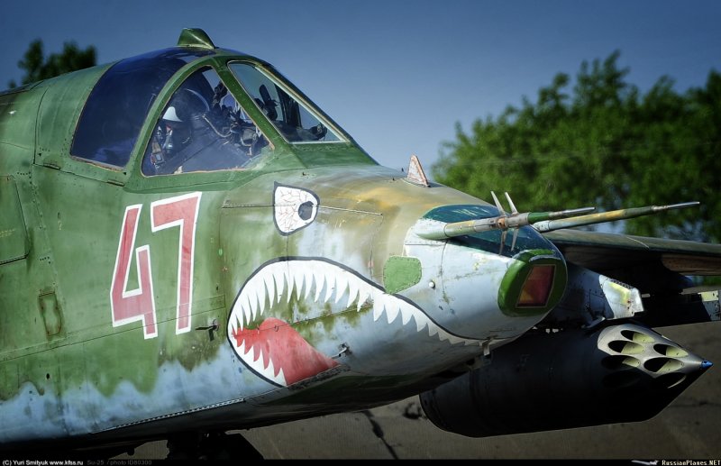 Су-25 Shark