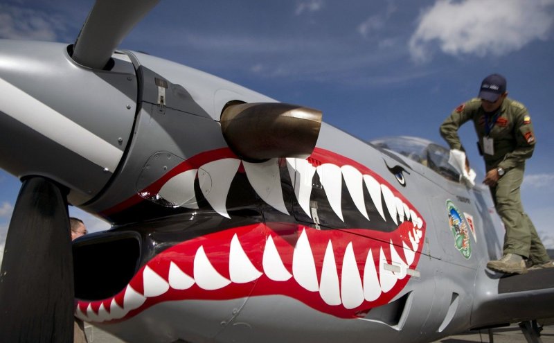 Nose Art a 10 Акулий рот