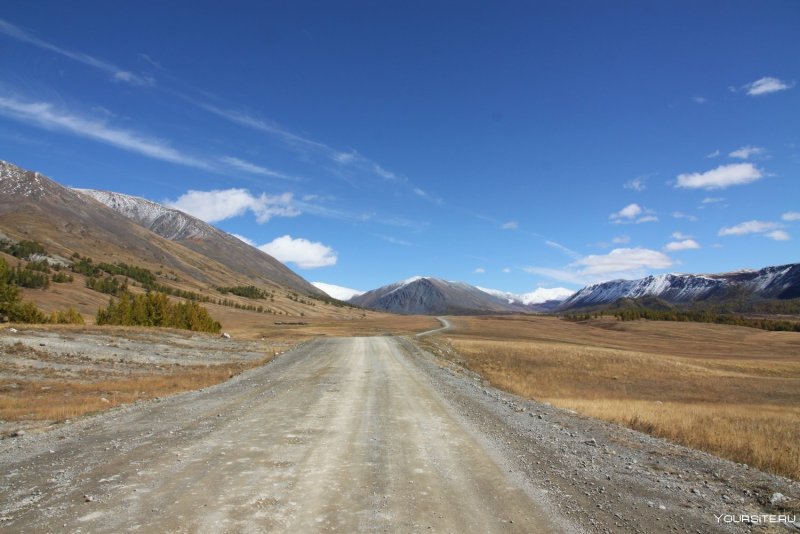 Базар Кош Агач
