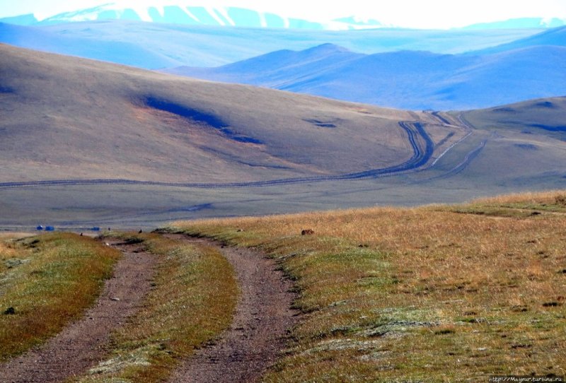 Кош Агач Мороз фото