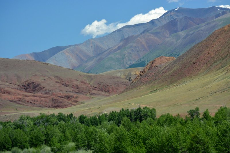 Кош Агач Долина