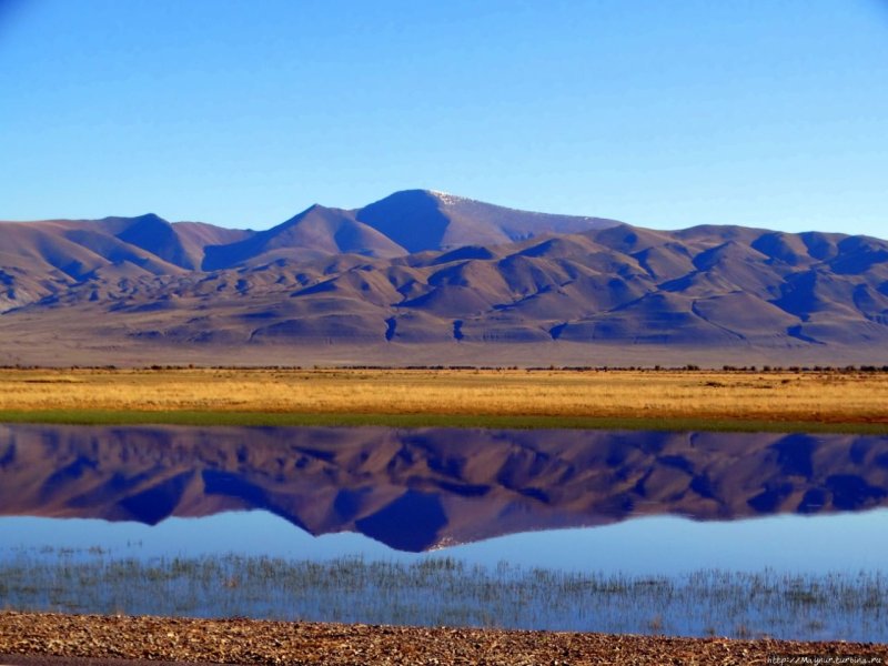 Кош Агач Мороз фото