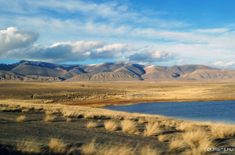 Село Кош Агач горный Алтай