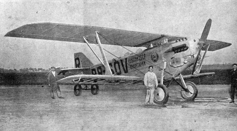 Ант 10