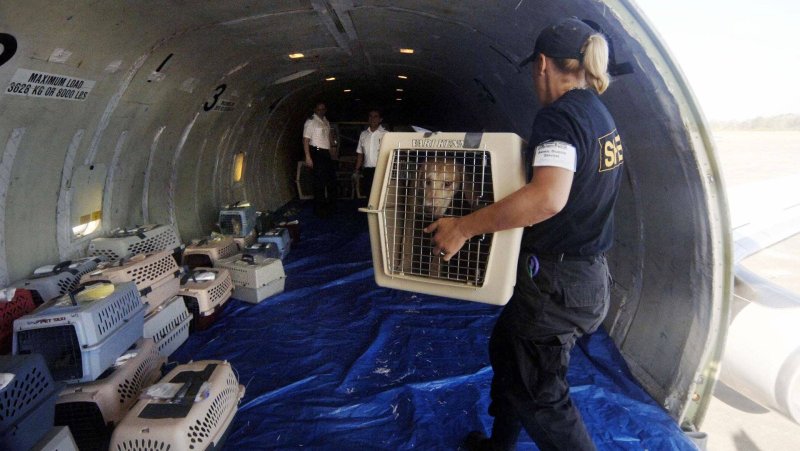 Боинг 747 багажный отсек