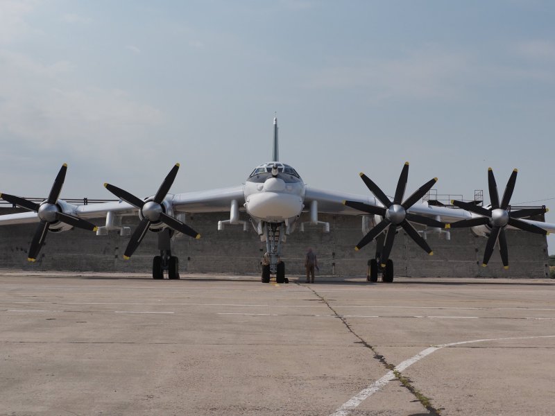 Первый полет ту 95мсм