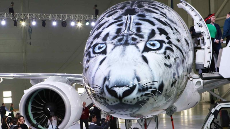 Самолет Эмбраер снежный Барс