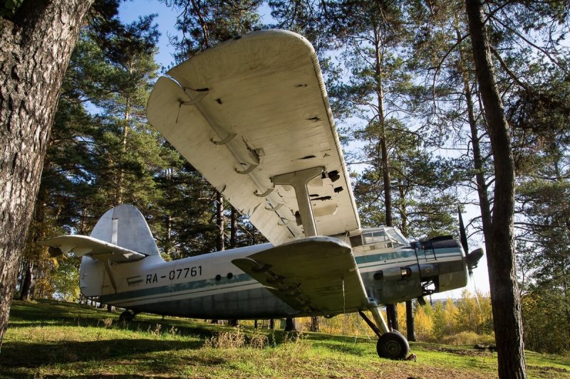 АН-2 ra-33602