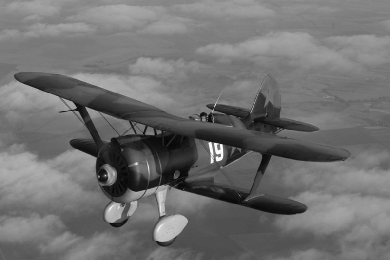 Поликарпов "и-15 Чайка", истребитель