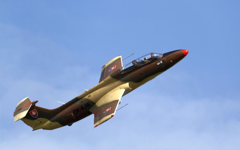 Самолет Дельфин