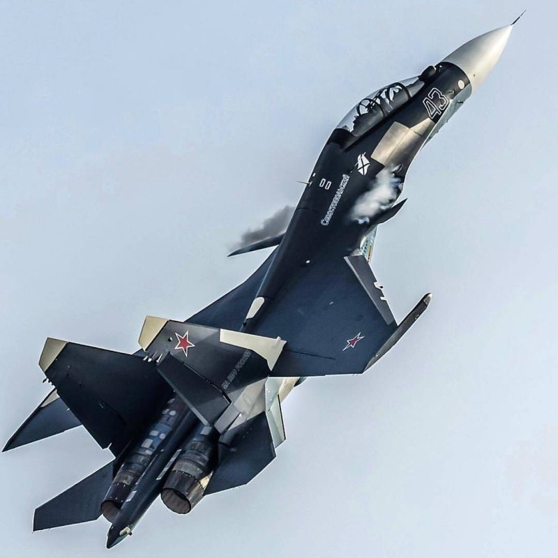 Су-30см это спарка