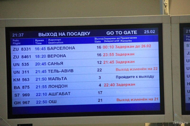 Аэропорт Домодедово задержка рейсов