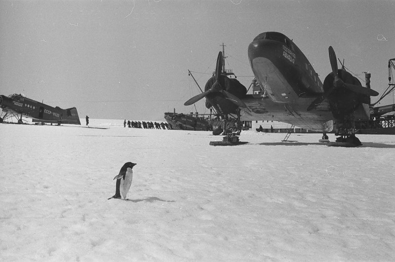 Первая Советская антарктическая Экспедиция 1956
