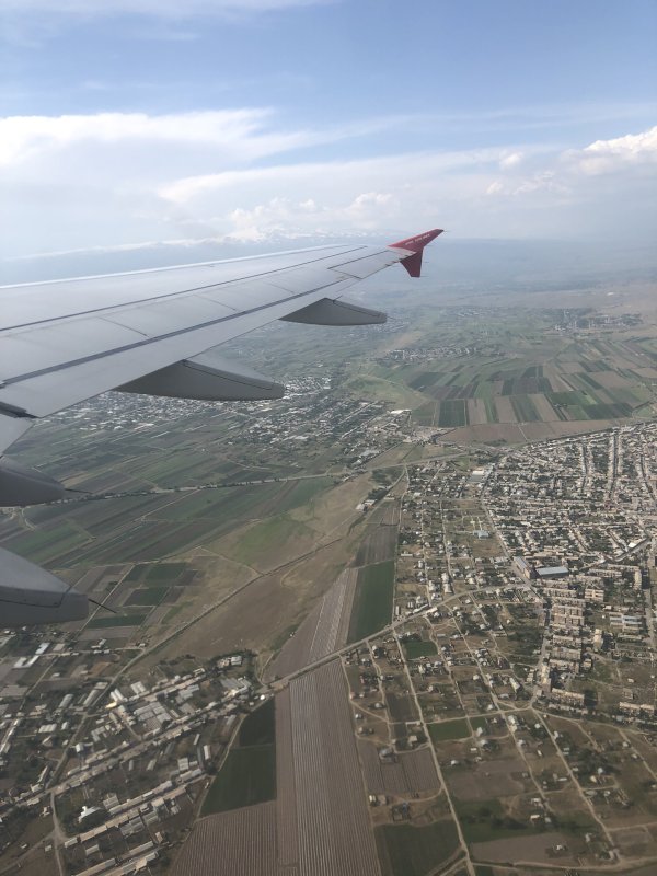 Адлер перелёт