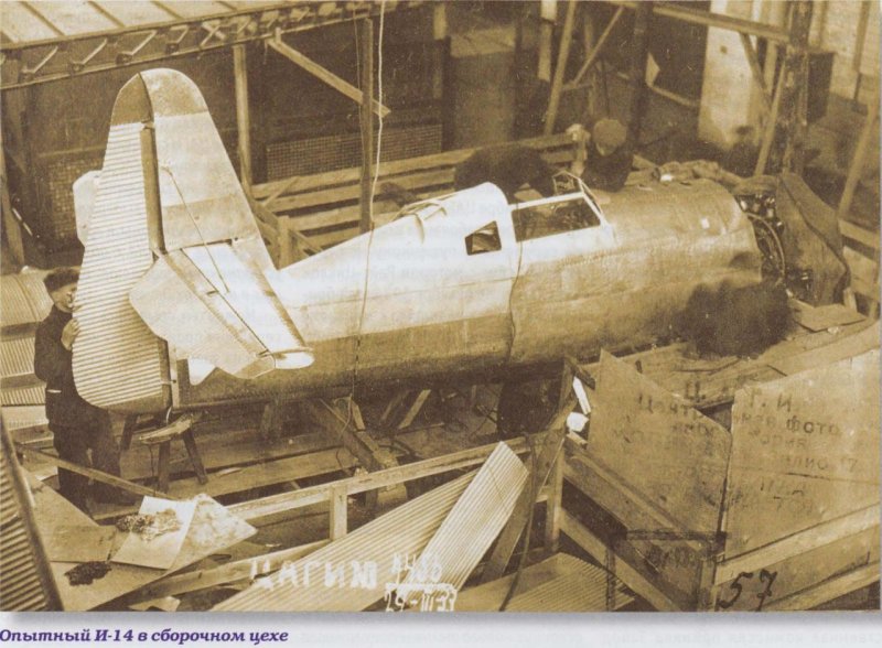 И-14 (ант-31)
