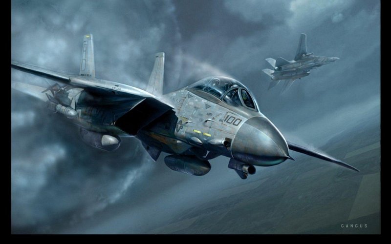 F-14 Tomcat Wallpaper