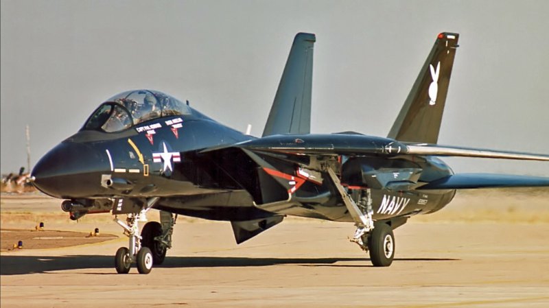 F 14 Black Tomcat
