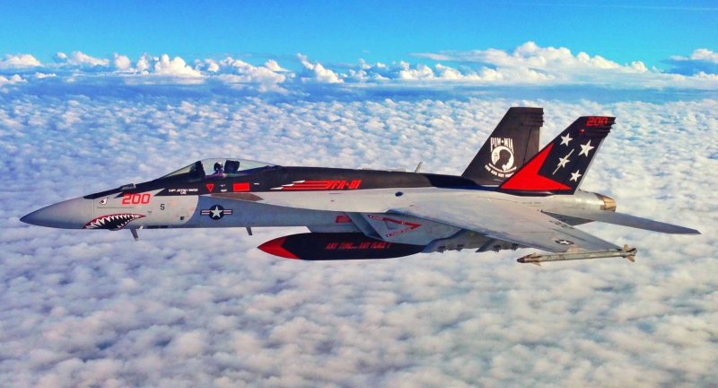 F-18 VFA-81