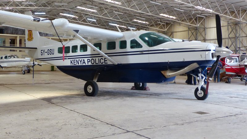 Полиция в самолете