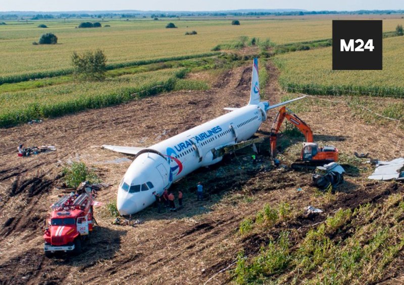 А321 Уральские авиалинии кукурузное поле