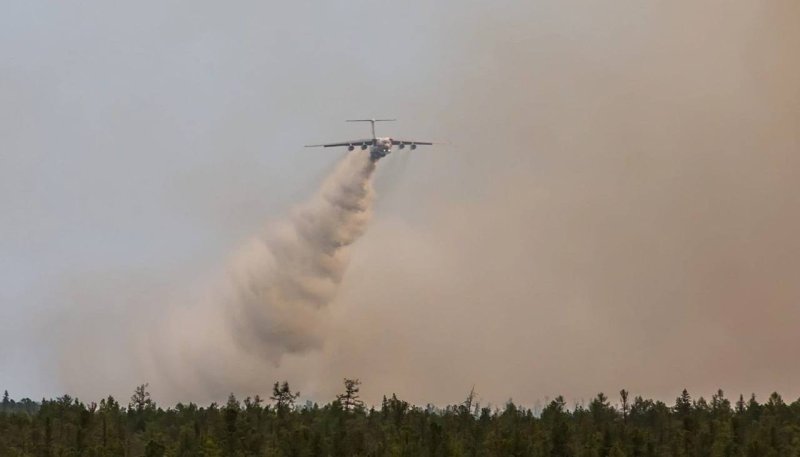 Лесные пожары в Рязанской области 2022