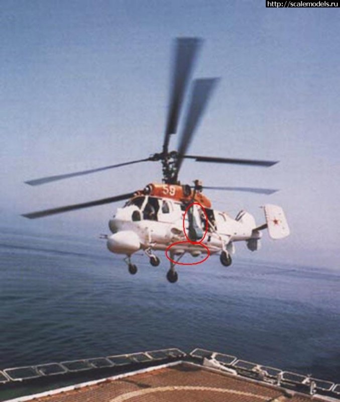 Ka-25 Hormone