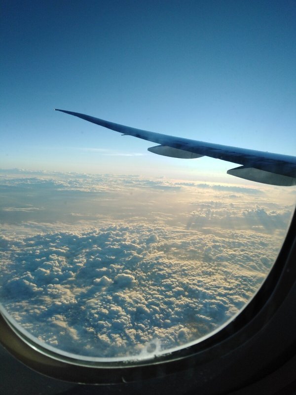 А330-300 окна самолета
