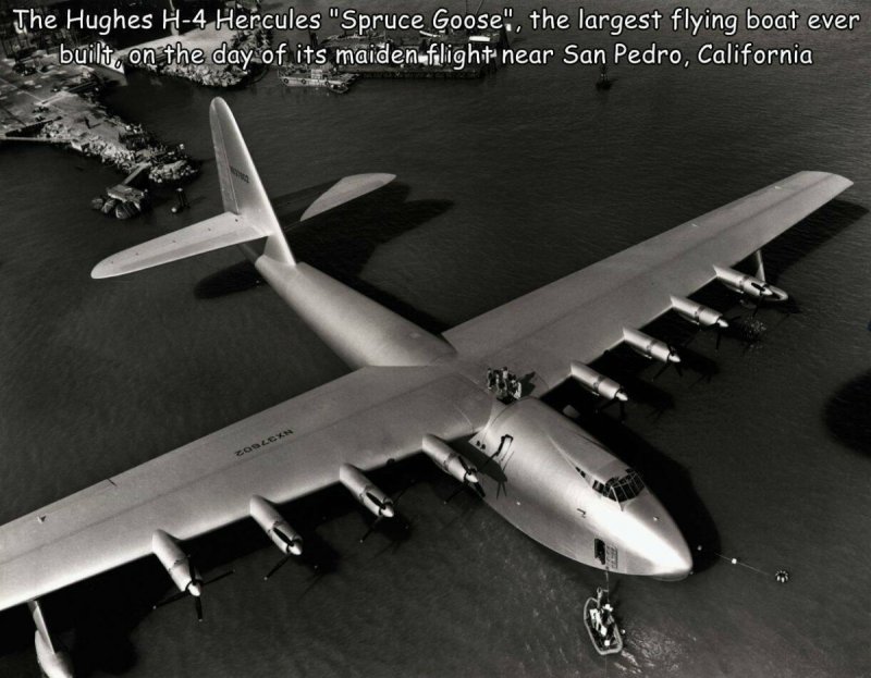 Самолёт Hughes h-4 Hercules