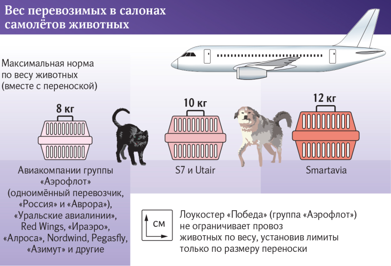 Вес самолета